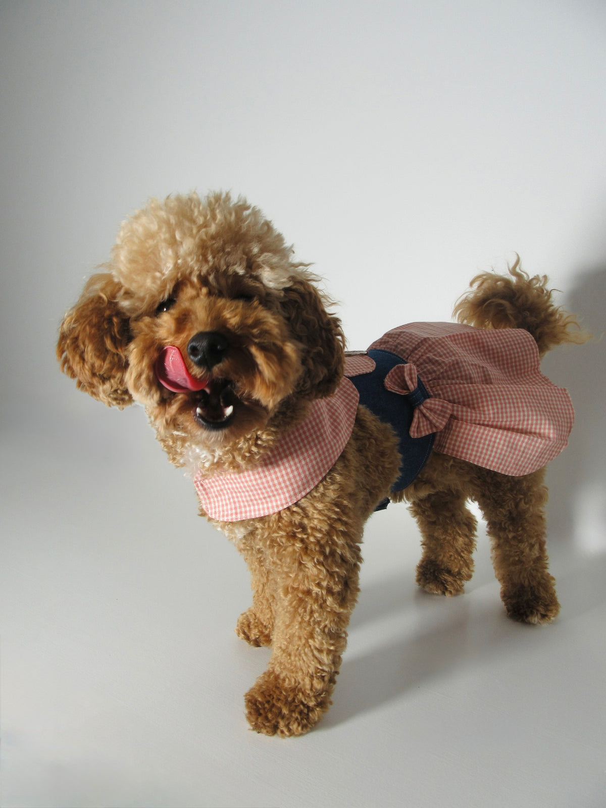 Denim gingham harness dog dress