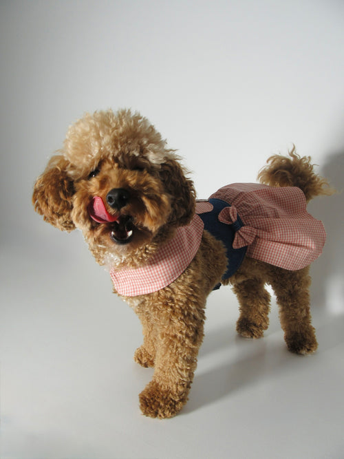 Denim gingham harness dog dress