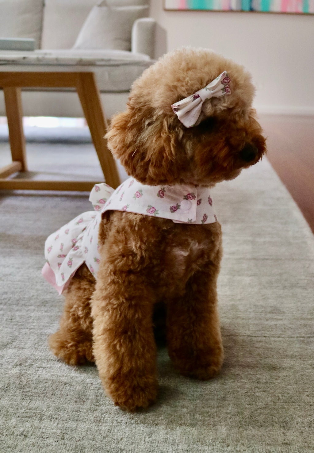 Floral Rose Pet Dress with Matching Bow Set