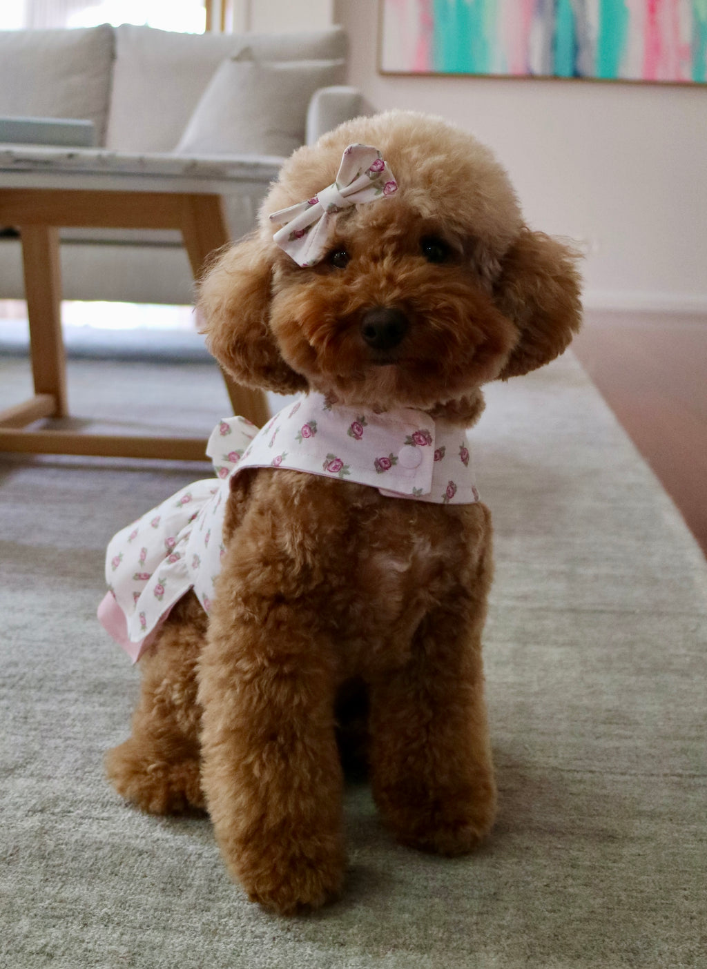 Floral Rose Pet Dress with Matching Bow Set