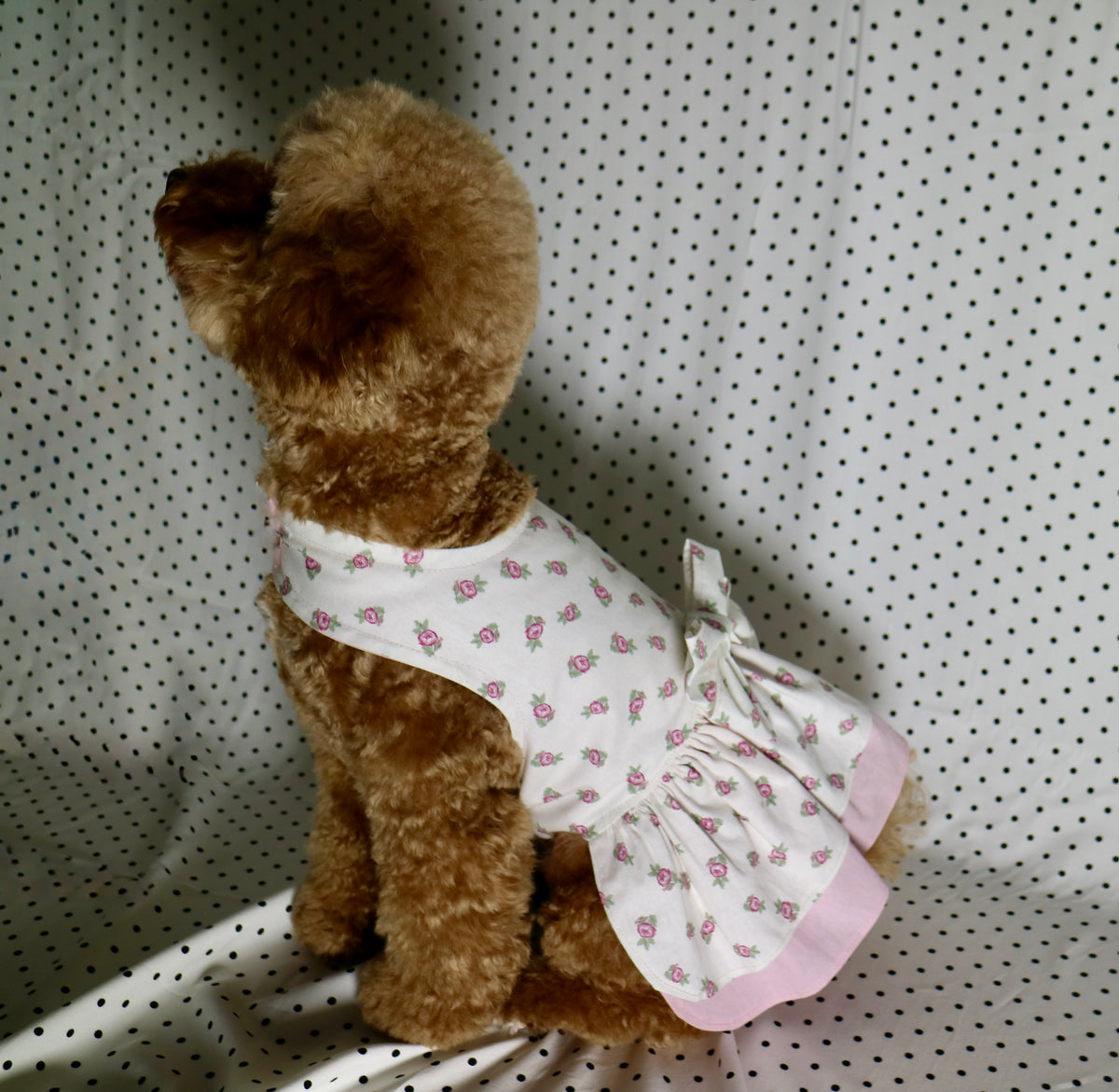 Floral Rose Pet Dress with Matching Bow Set