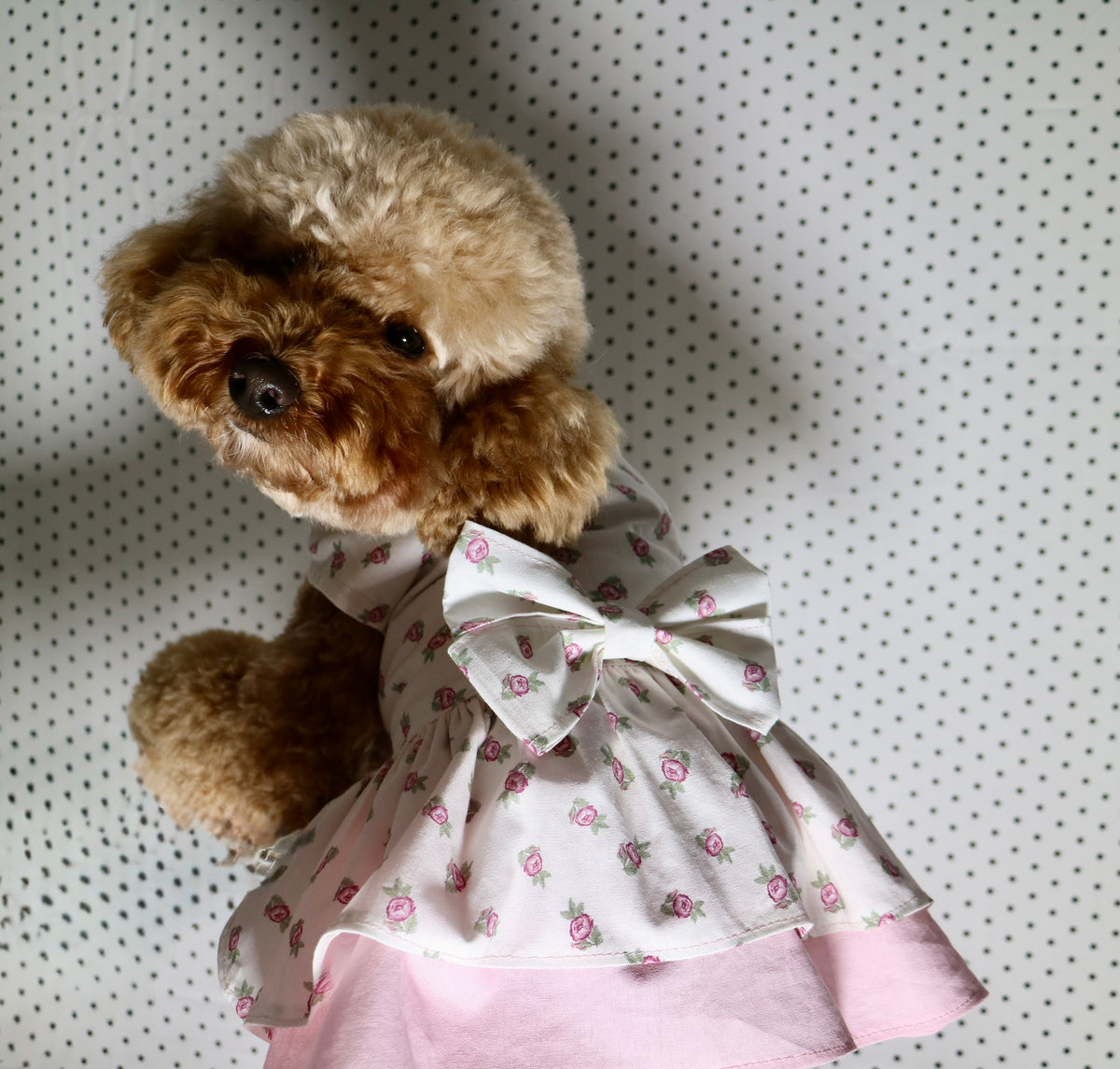 Floral Rose Pet Dress with Matching Bow Set