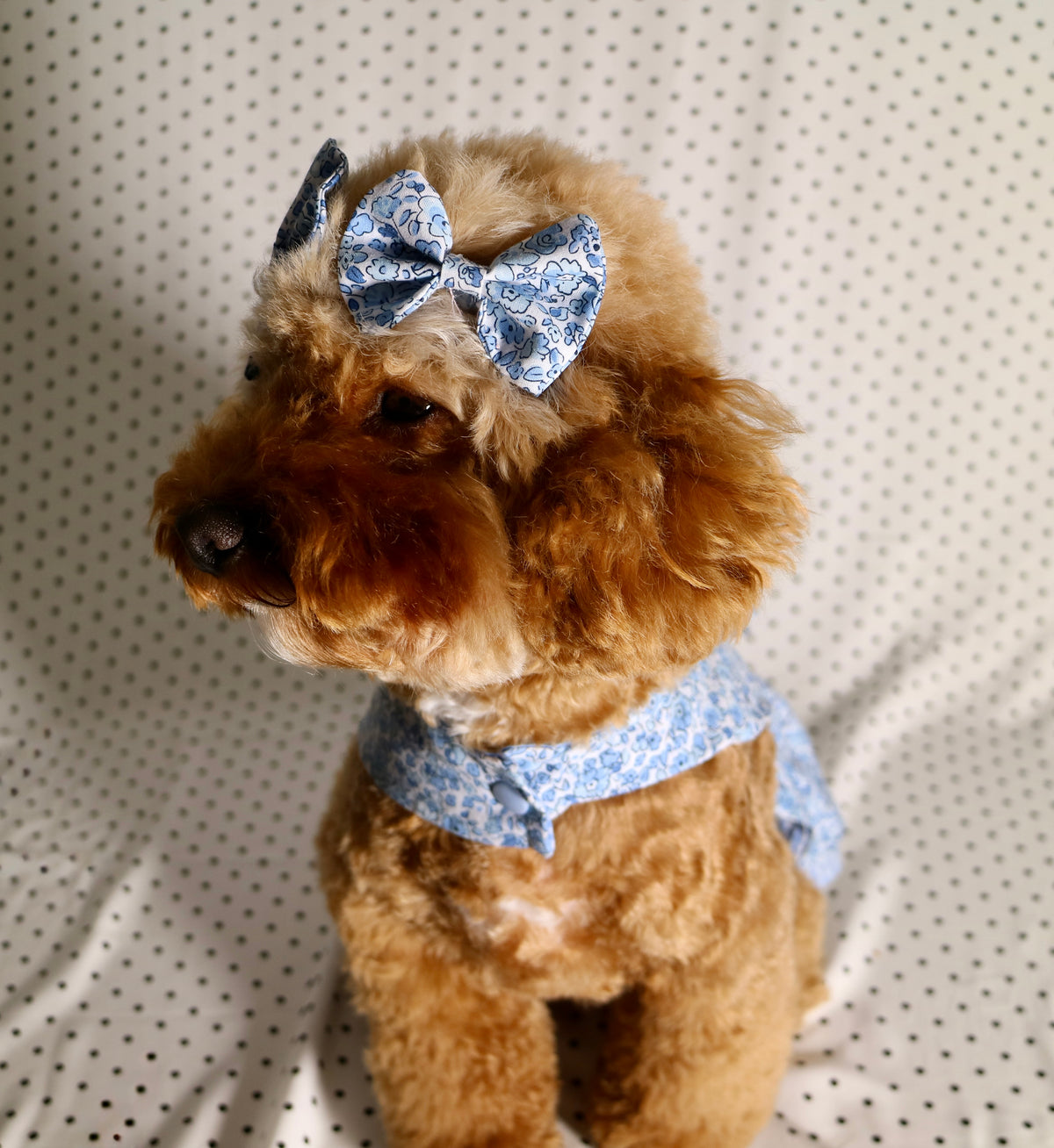 Blue floral gingham dog dress with matching hair bows