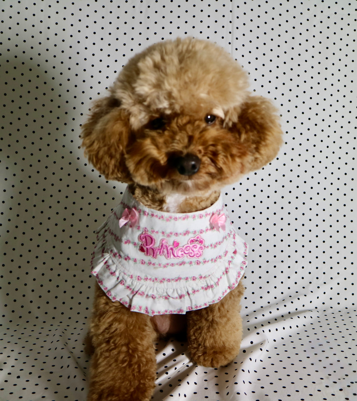 Princess Floral Ruffled Dog Bandana with Matching Bow Set